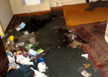 Der Fussboden dieser Messie Wohnung ist überfüllt mit Müll.