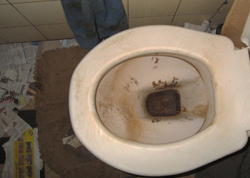 Auch die Toilette in der Messie Wohnung ist verwüstet und unhygienisch.